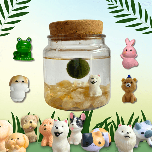 Featured image showcasing Jar Pets accessories